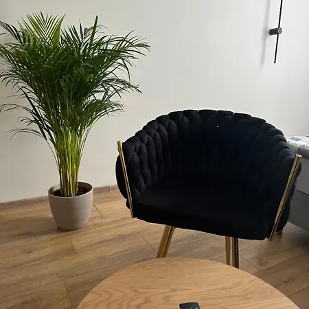 Apartmán U Misia *